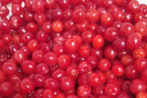 Fresh Bush Cherries